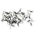 Jewellery Findings Ear Wire Hooks Black 25 Gm