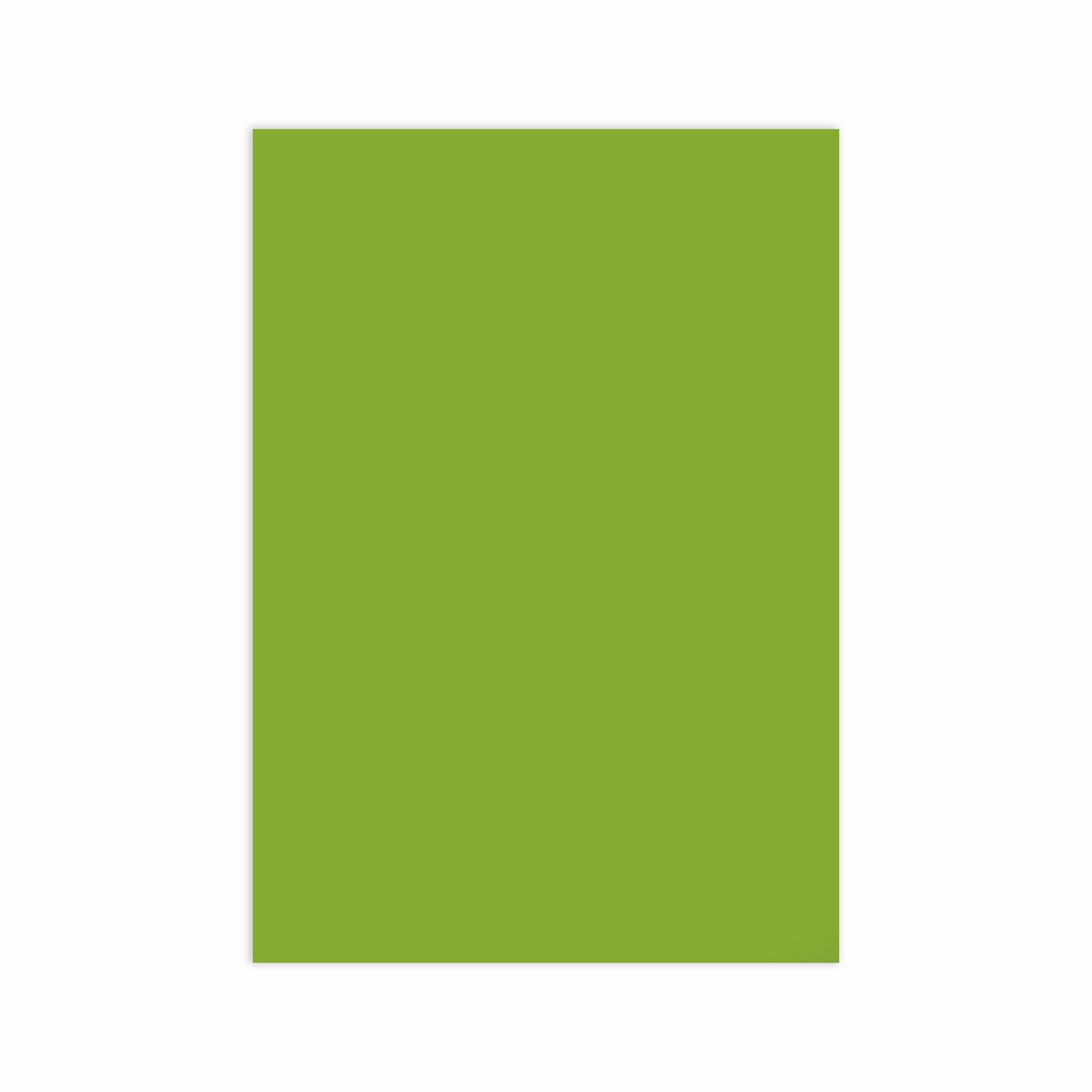 Punch Paper Lime A4 80Gsm 10Sheets