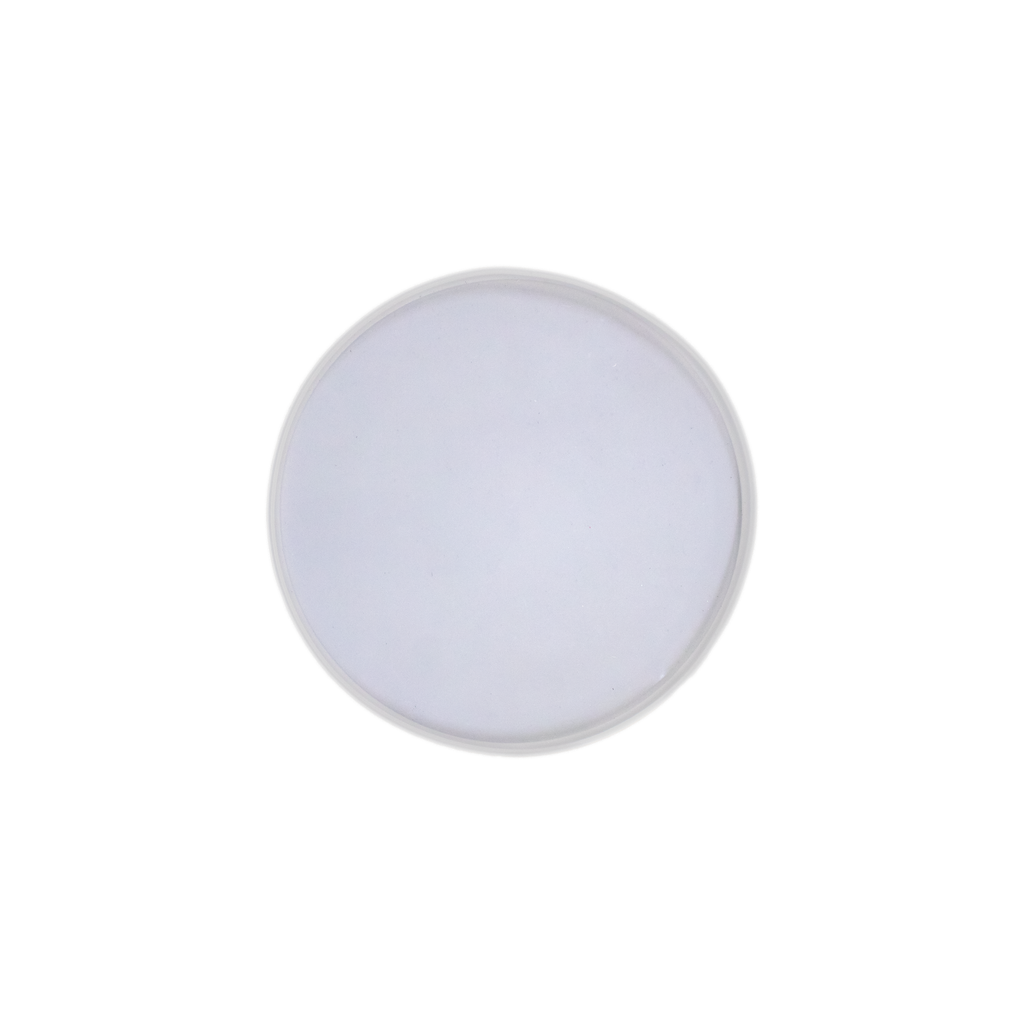 Silicone Mould Round Coaster 6inch Dia 1pc