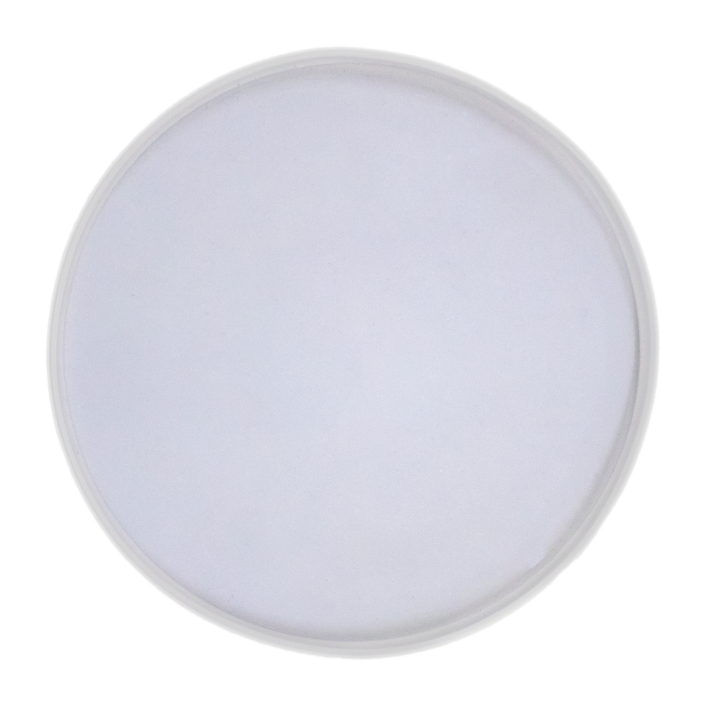 Silicone Mould Round Coaster 8inch Dia 1pc