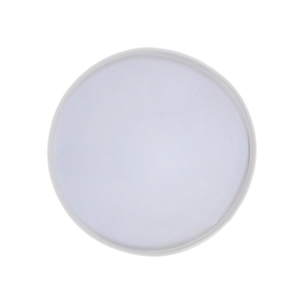 Silicone Mould Round Coaster 10inch Dia 1pc