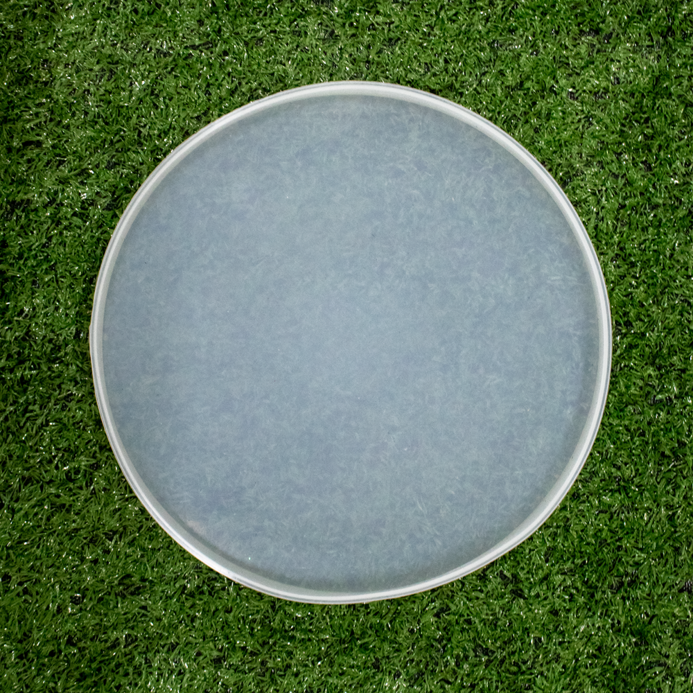 Silicone Mould Round Coaster 10inch Dia 1pc