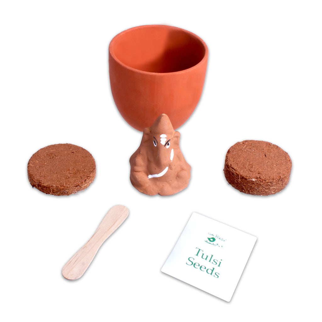 DIY Plantable Ganesha Kit 1 Box