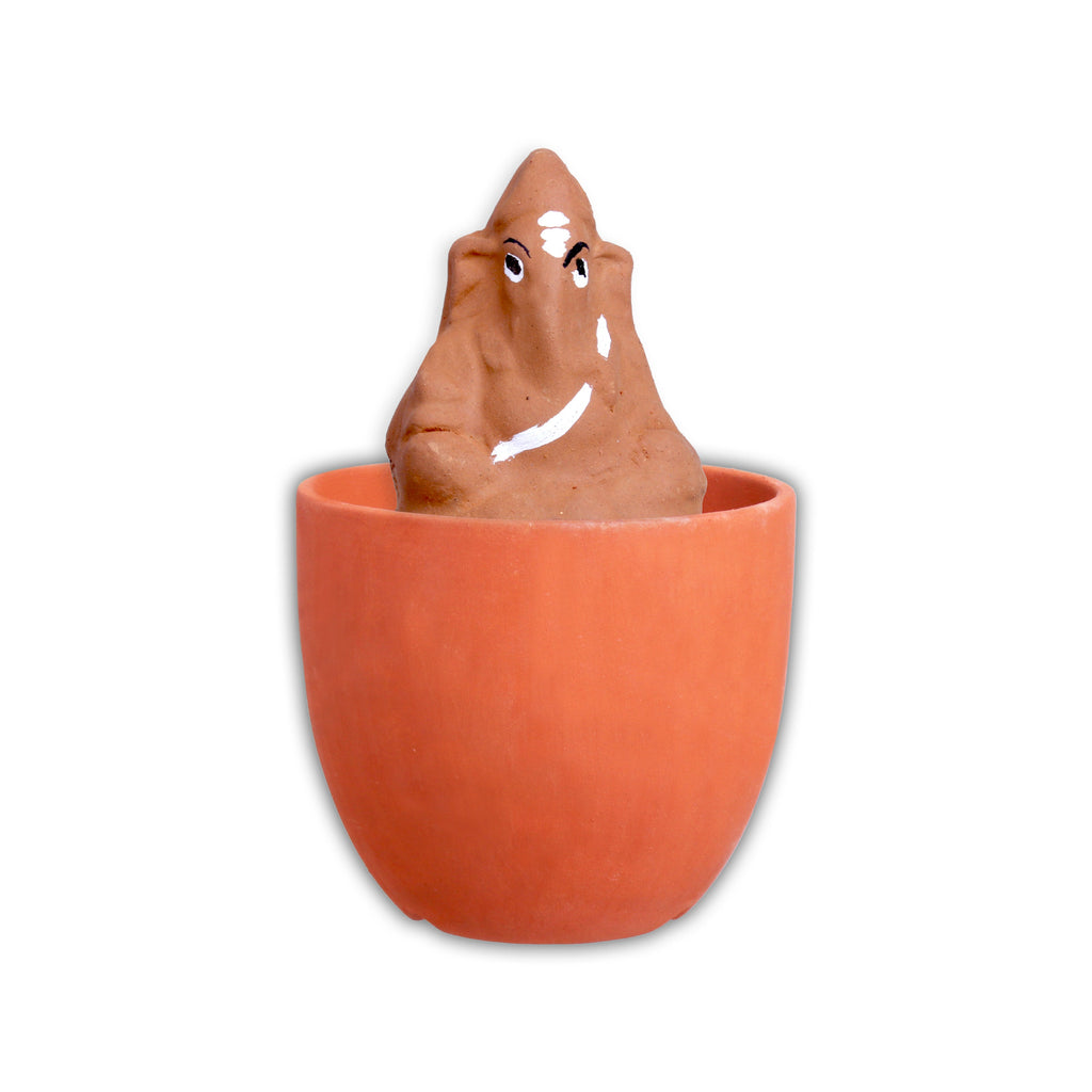 DIY Plantable Ganesha Kit 1 Box