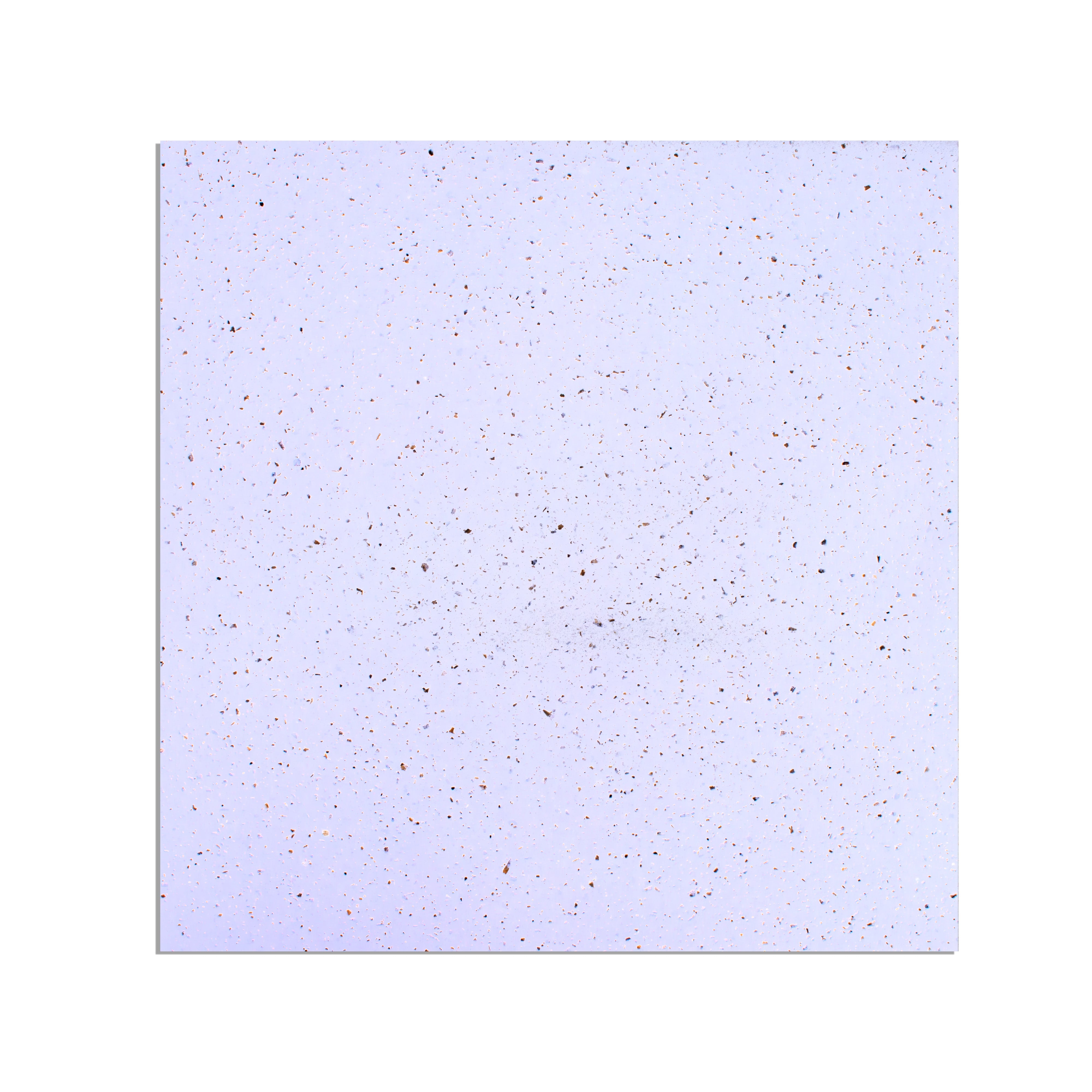 Eco Friendly Barley Paper 12x12inch 200gsm 1Sheet