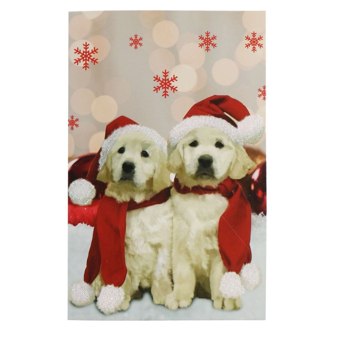 Christmas Glitter Greeting Card & Envelope Pawsome Winter 11.8 X 17.8cm 1pc