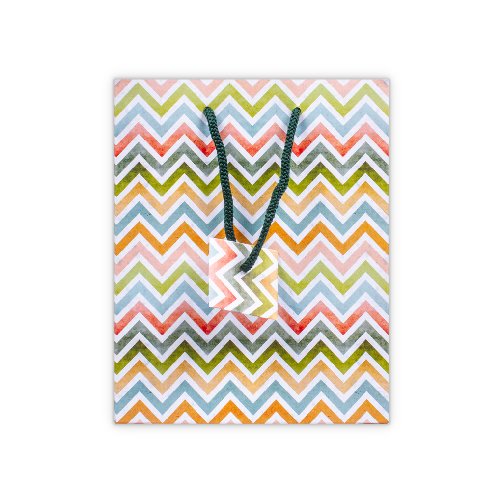 Gift Bag Multicoloured Chevron L9 x W7 x D4inch 1pc