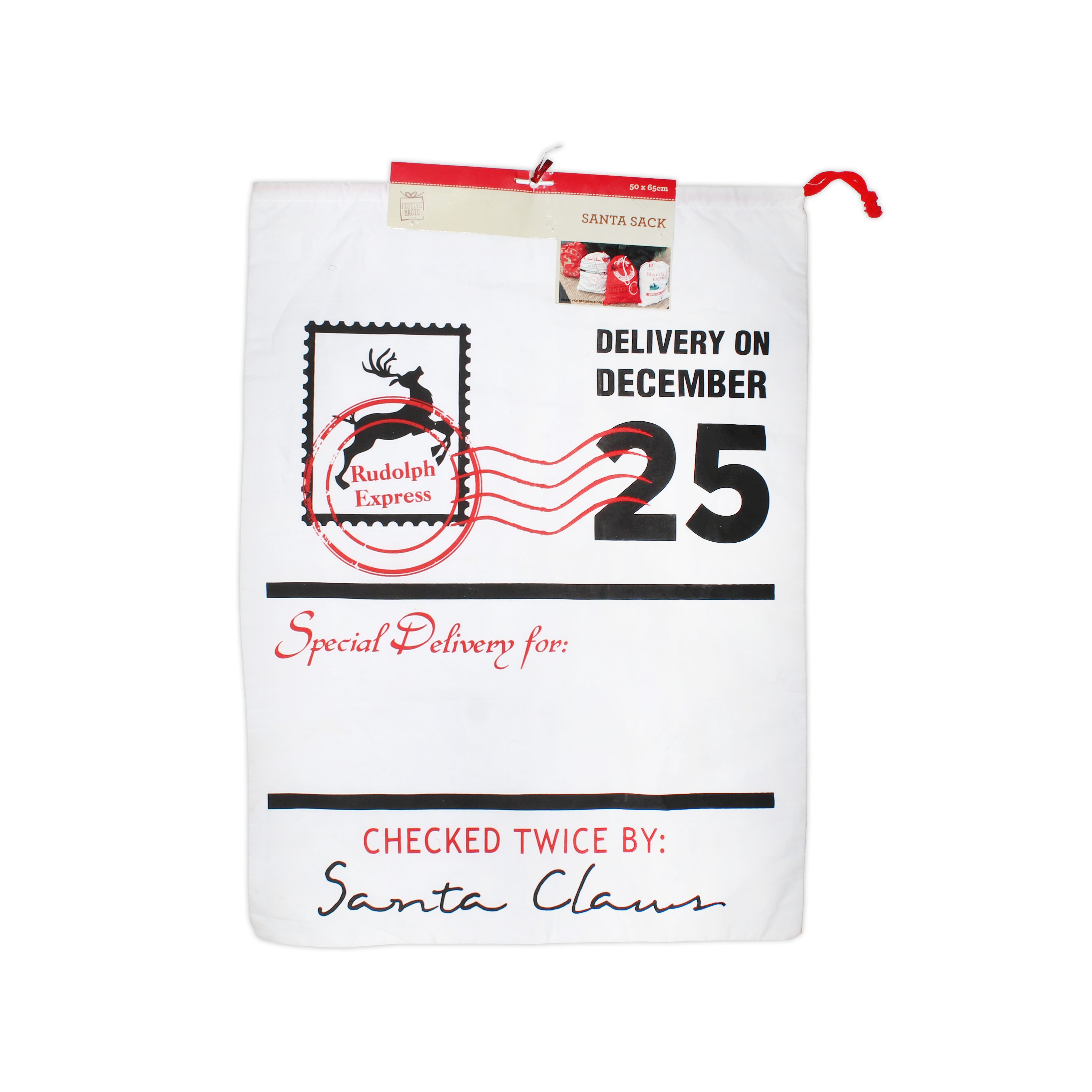 Santa Sack White Special Delivery 50x65cm XB2959