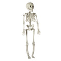Halloween Decor Hanging Skelton 1pc