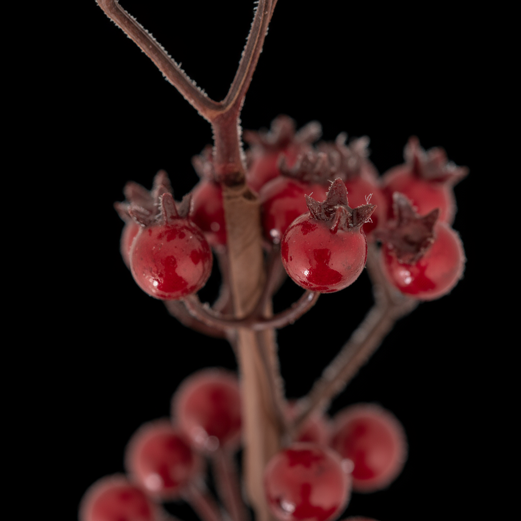 Christmas Decor Glossy Berry Bunch Stem Burgundy 30cm 1pc