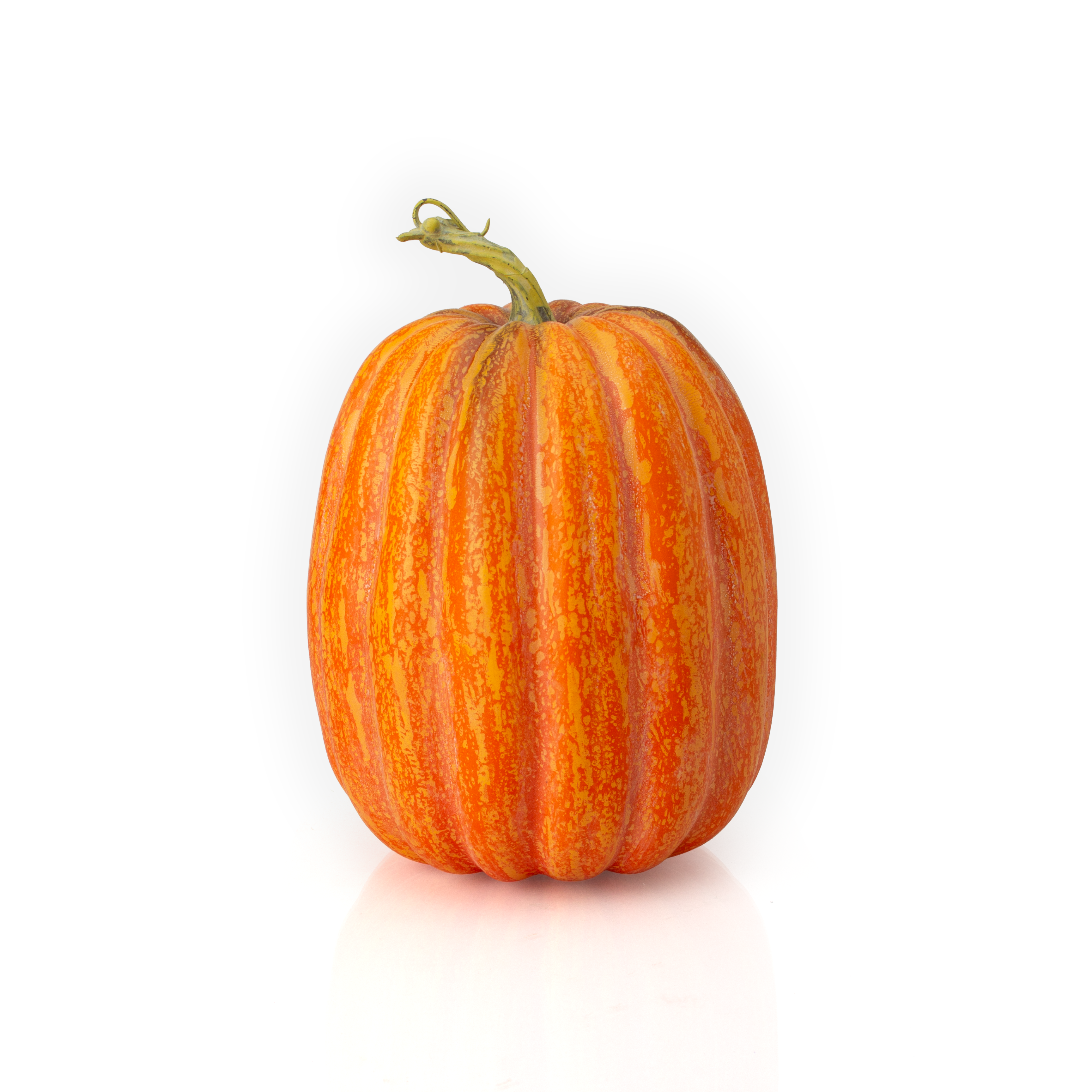 Artificial Pumpkin W 5.5 X L 8.85inch 1pc