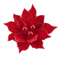 Poinsettia Red Baubles Stem with Clip 1pc