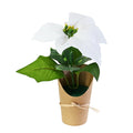 Mini Flocked Poinsettia Pot White 21cm 1pc