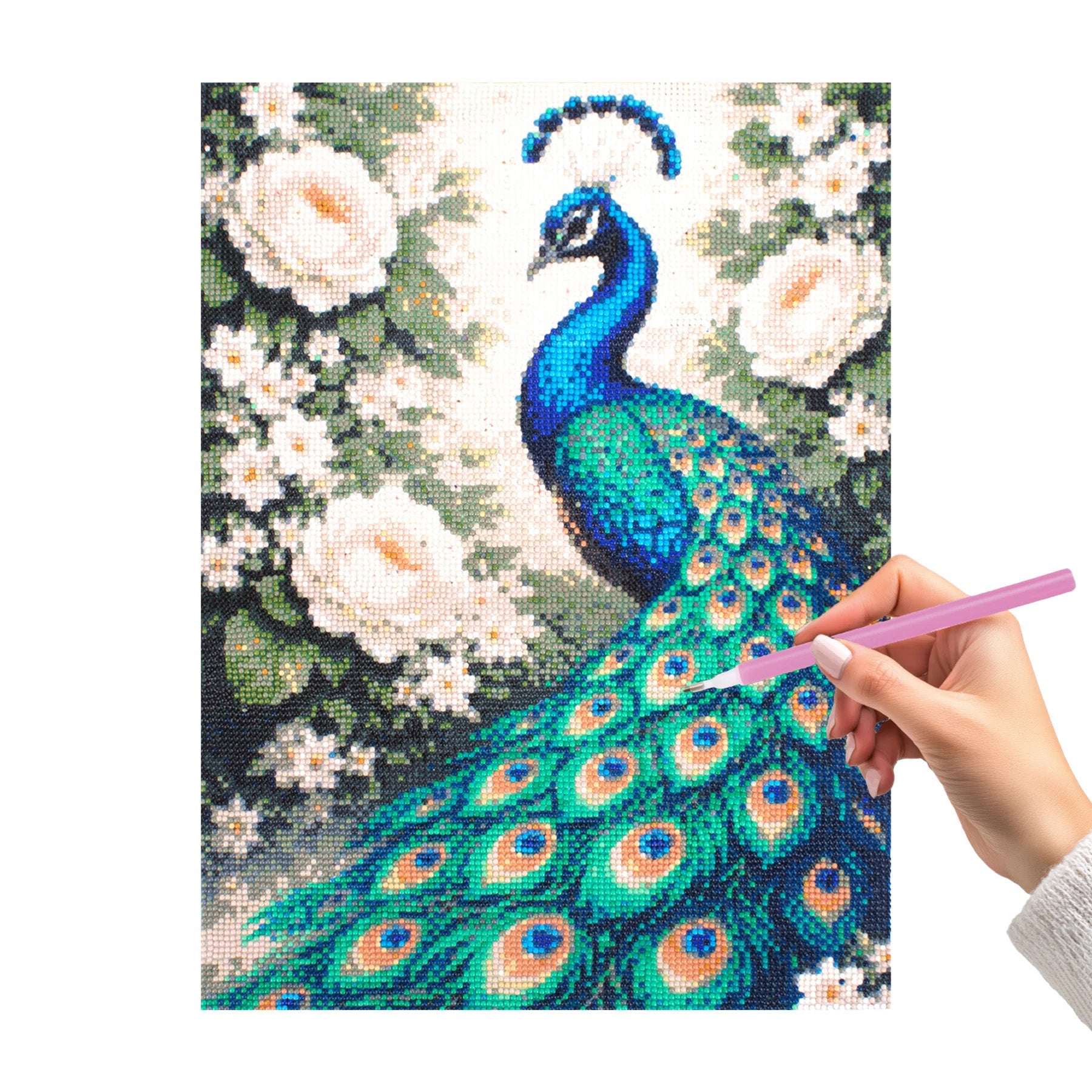 5D Diamond Painting Kit Peacock Garden 40 X 50cm 1pc Acetate Box