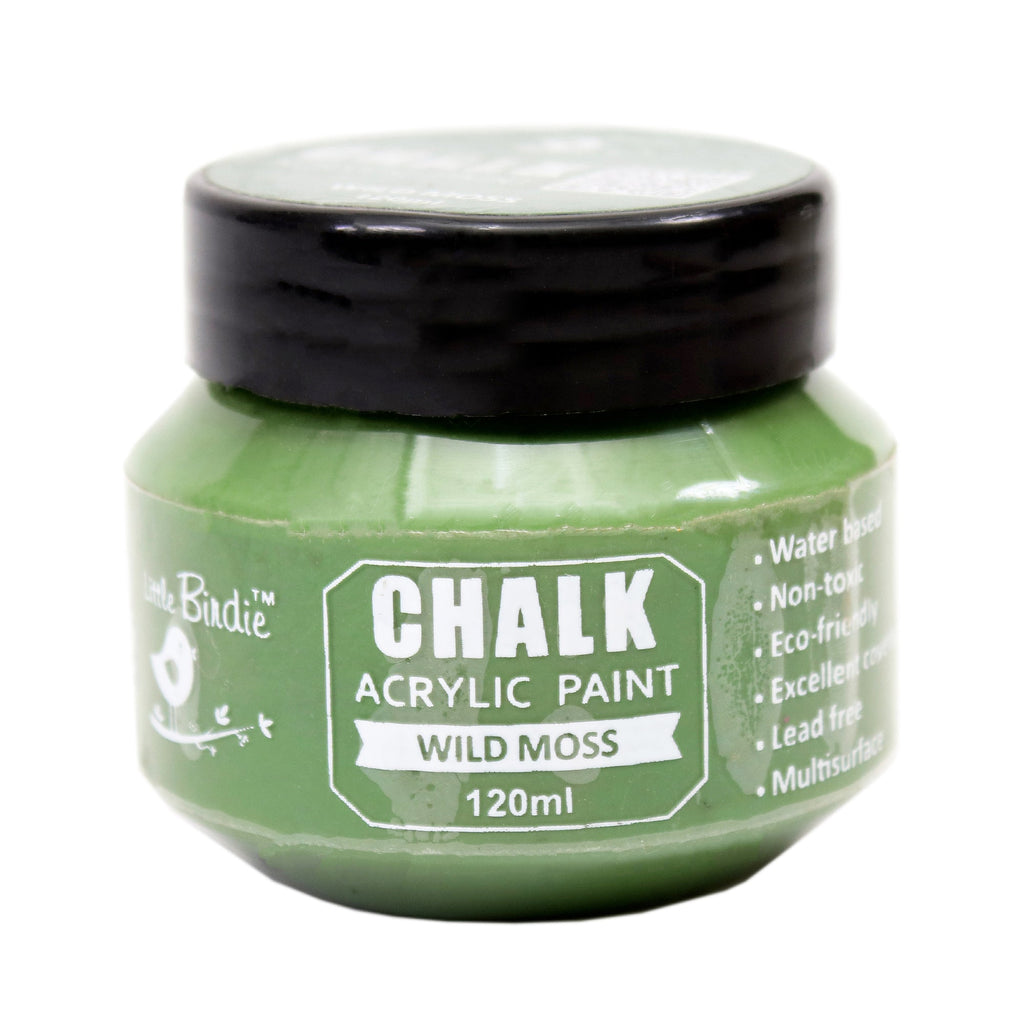 Home Decor Chalk Paint Wild Moss 120ml Bottle