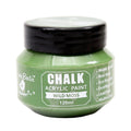 Home Decor Chalk Paint Wild Moss 120ml Bottle
