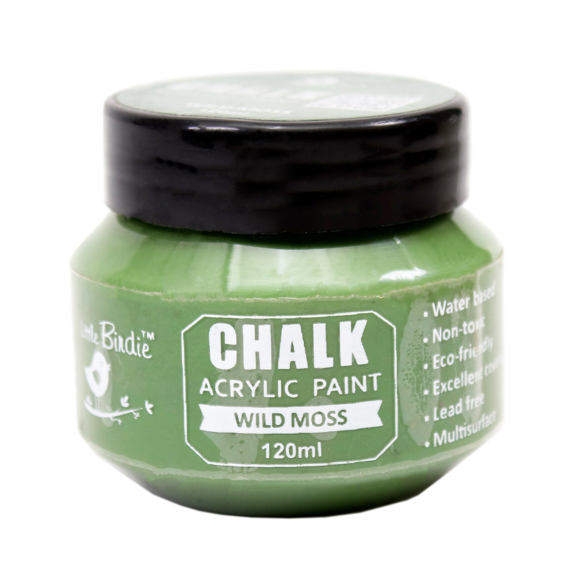 Home Decor Chalk Paint Wild Moss 120ml Bottle