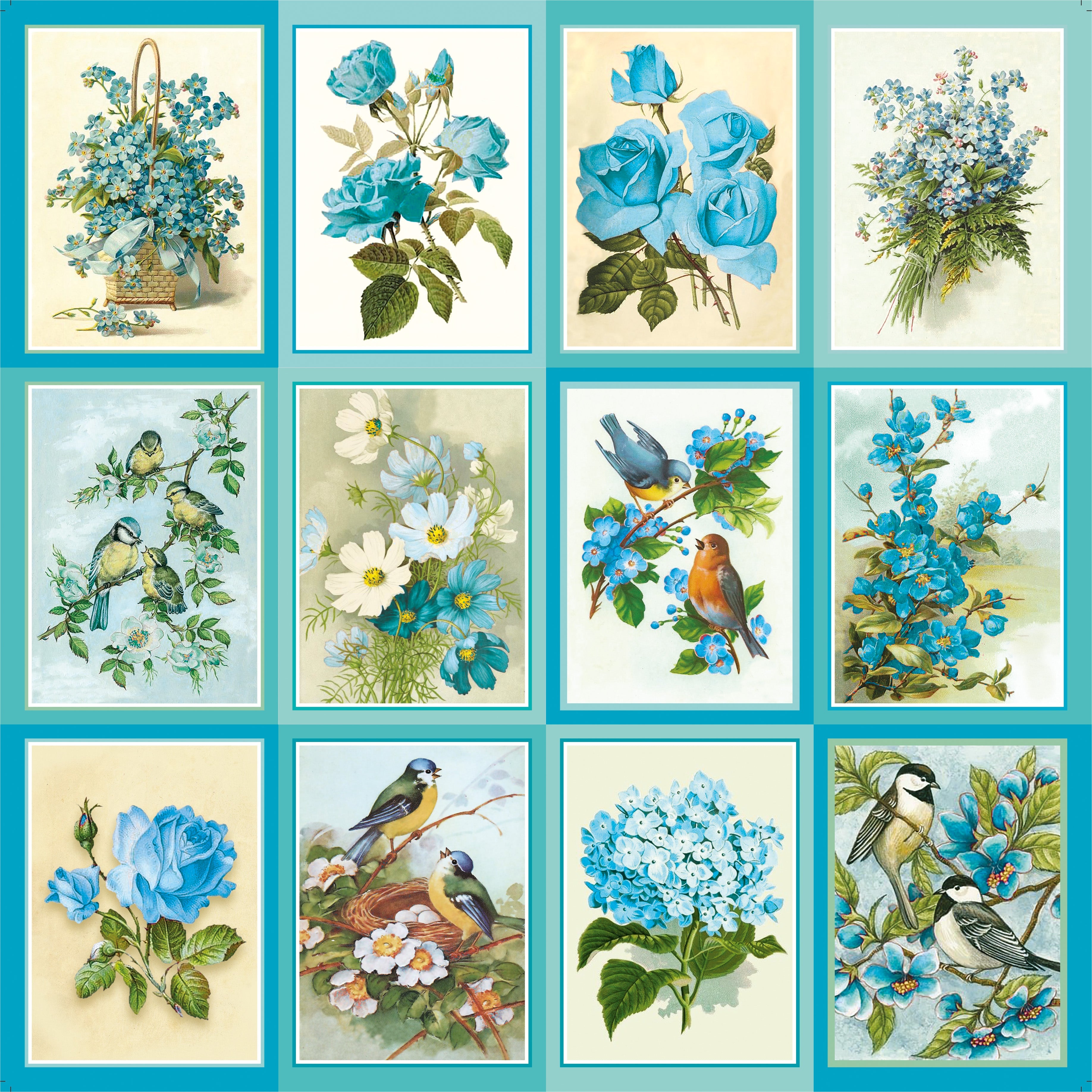 Paper Pack 12In X 12In Aqua Medley,250 gsm 12Sheets
