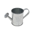 Mini Watering Can 2.5X2 Inch 1Pc Ib