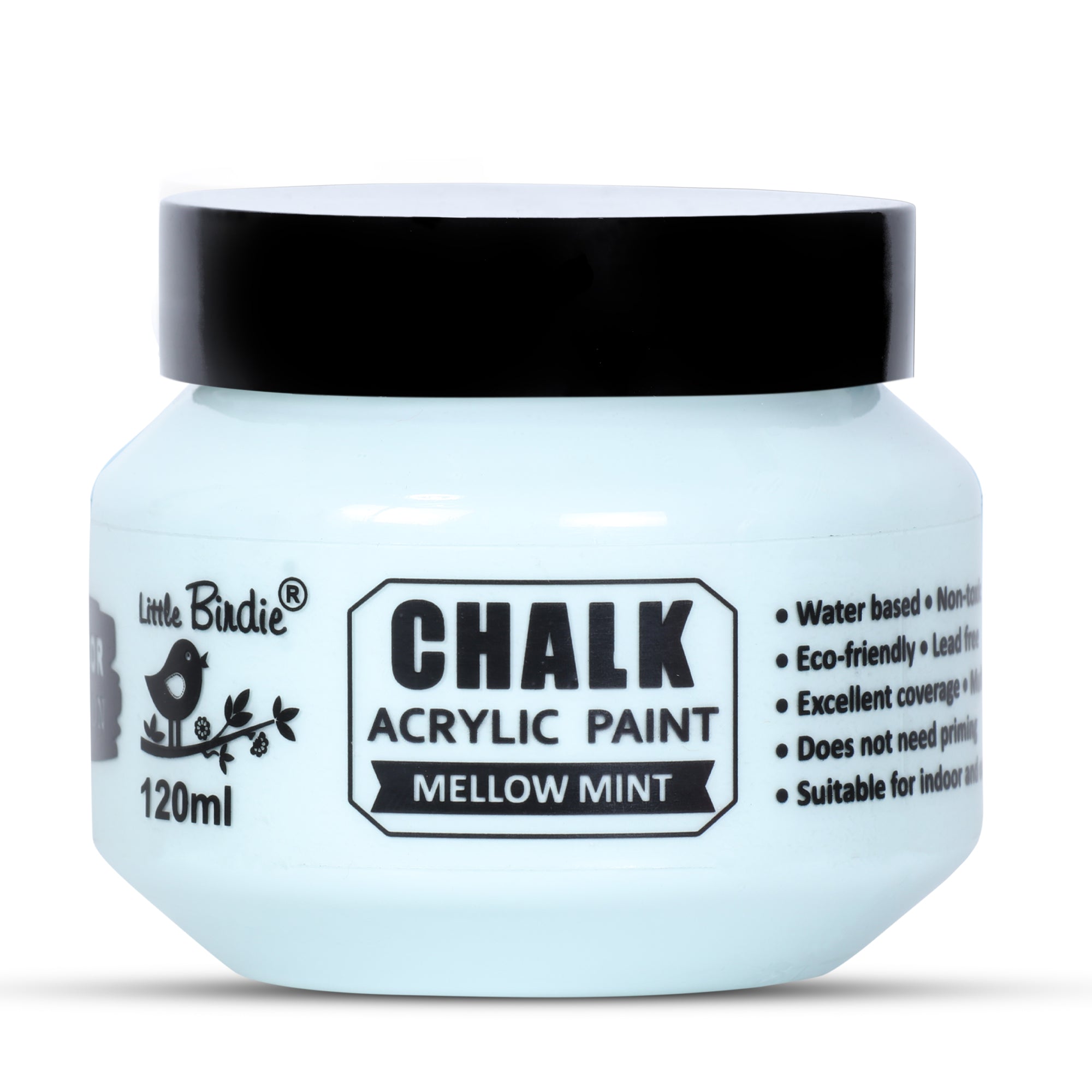 Home Decor Chalk Paint Mellow Mint 120ml Bottle