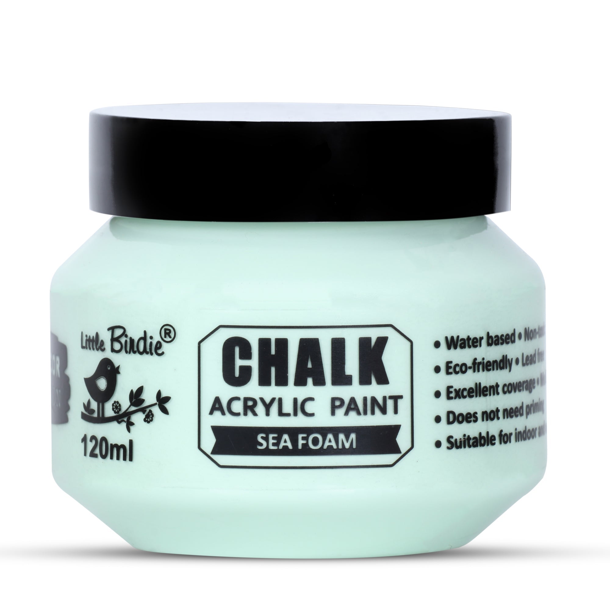 Home Decor Chalk Paint Sea Foam 120ml Bottle