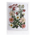 Assorted Natural Dried Pressed Flowers Meadow Blossoms 16Pc Pouch Ib