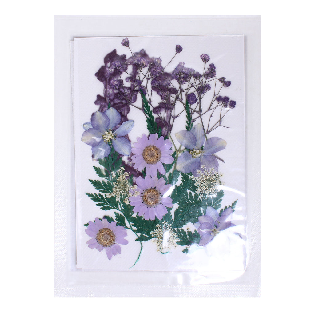 Assorted Natural Dried Pressed Flowers Daisy Delight 18Pc Pouch Ib