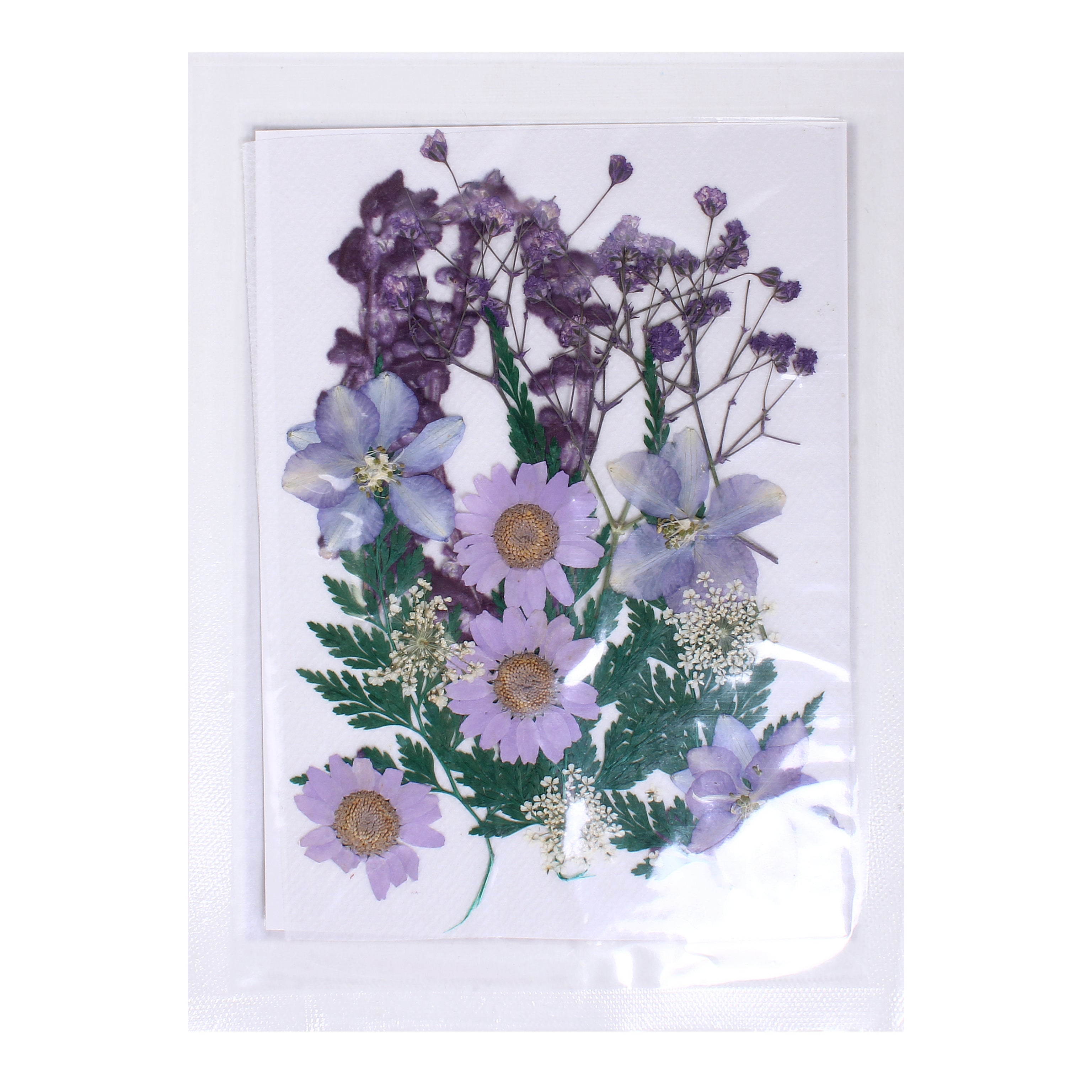 Assorted Natural Dried Pressed Flowers Daisy Delight 18Pc Pouch Ib