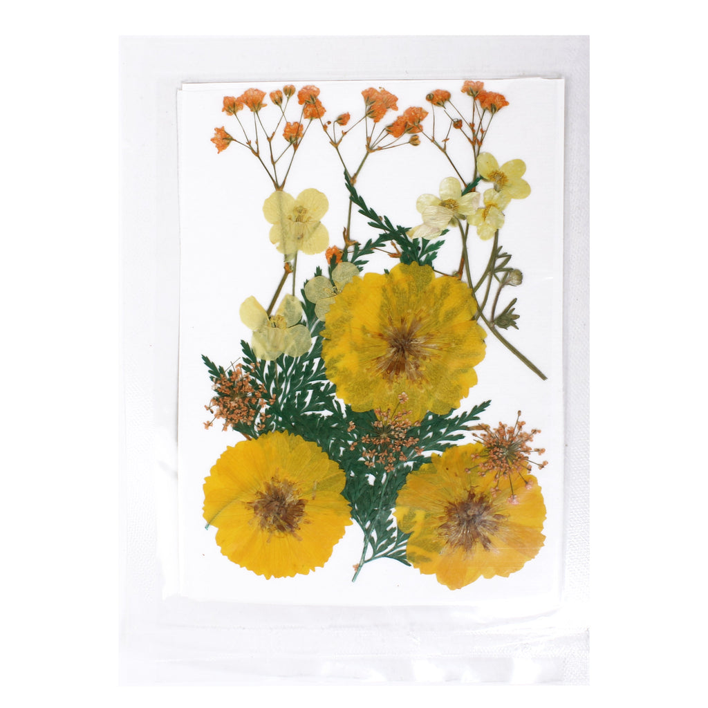 Assorted Natural Dried Pressed Flowers Sunny Blooms 18Pc Pouch Ib
