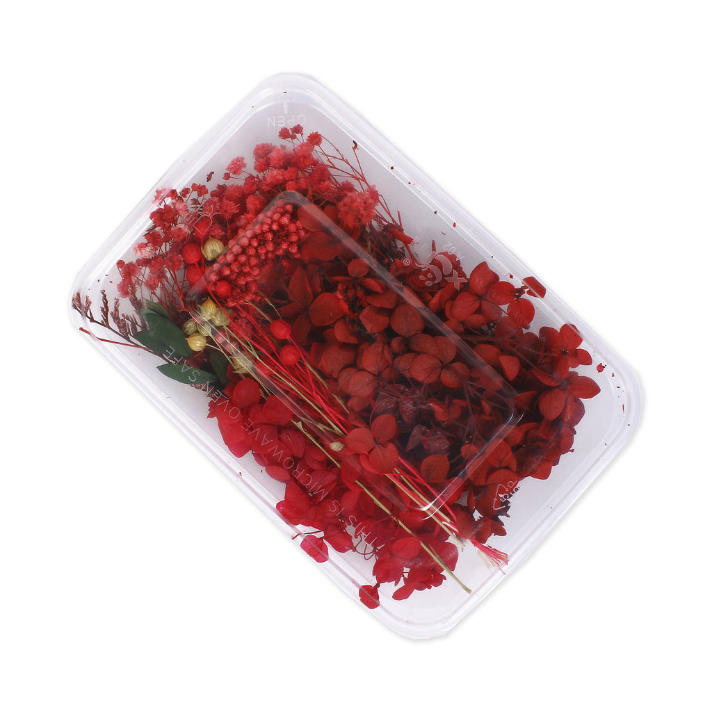 Assorted Natural Dried Flowers Scarlet Garden  1Box Ib