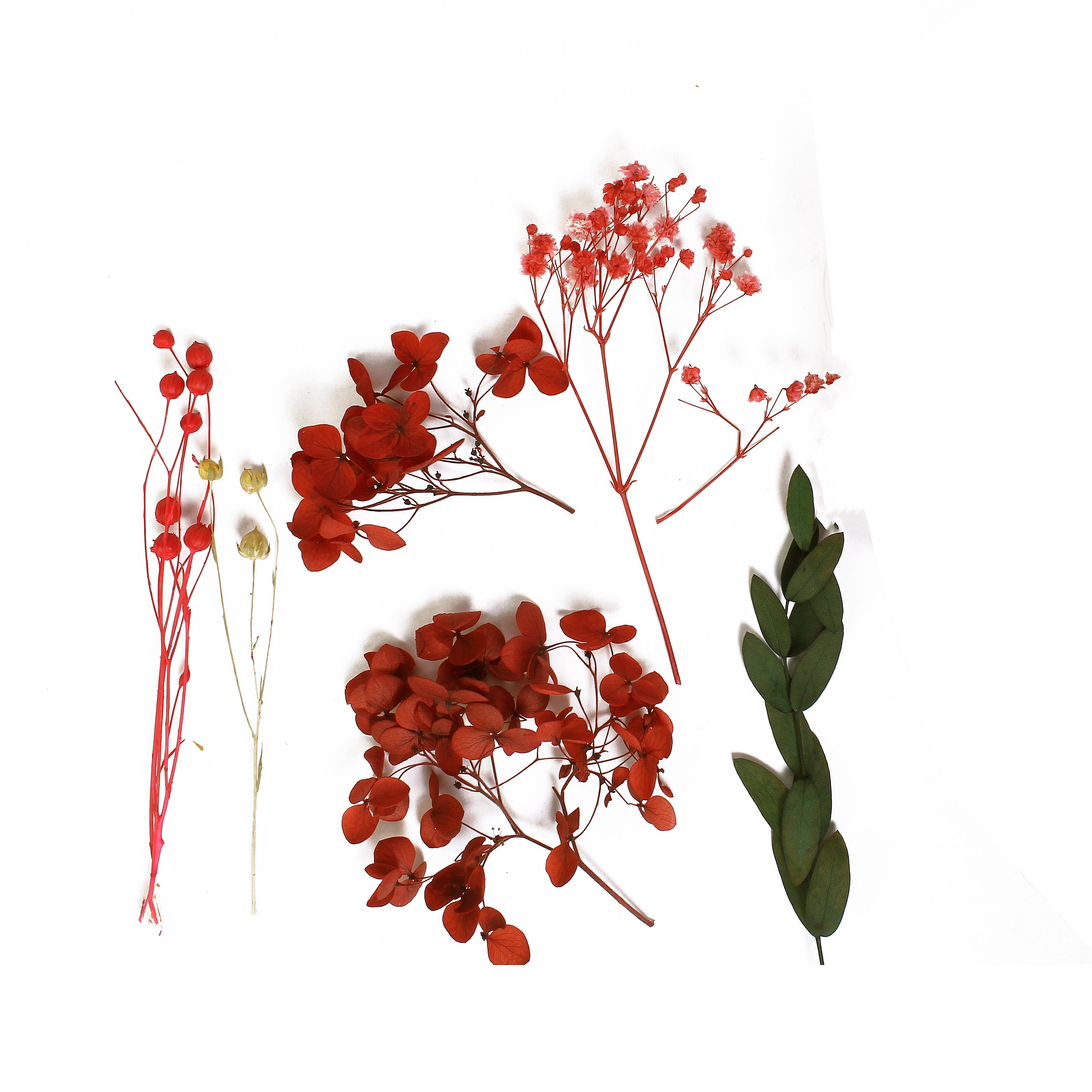 Assorted Natural Dried Flowers Scarlet Garden  1Box Ib