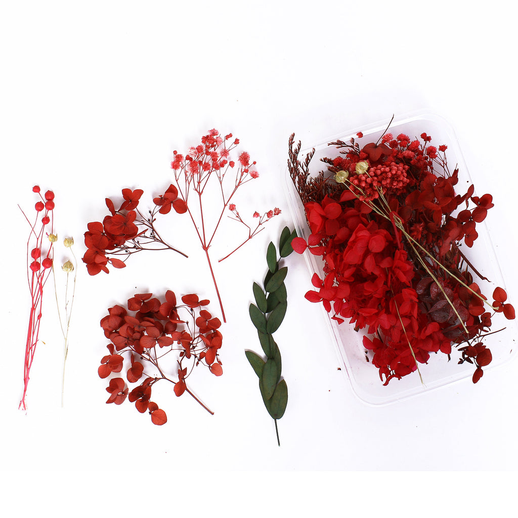 Assorted Natural Dried Flowers Scarlet Garden  1Box Ib