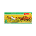 Camel Students Oil Colours Set - 12 shades of 9ml each