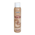 Fixative Tin 530933 200Ml Bottle Camlin