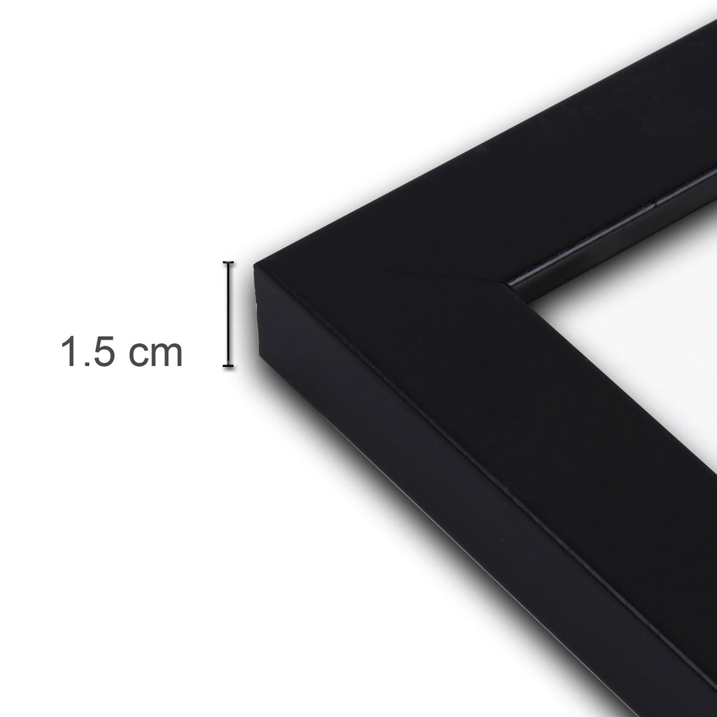 Wall Photo Frame Modern Black 16 X 20Inch 1Pc Sw Lb