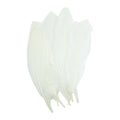 Pretty Feathers - 12Pc - White
