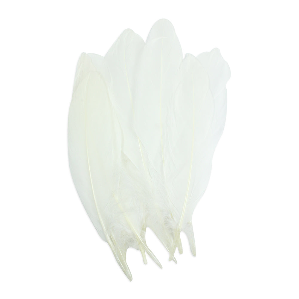 Pretty Feathers - 12Pc - White