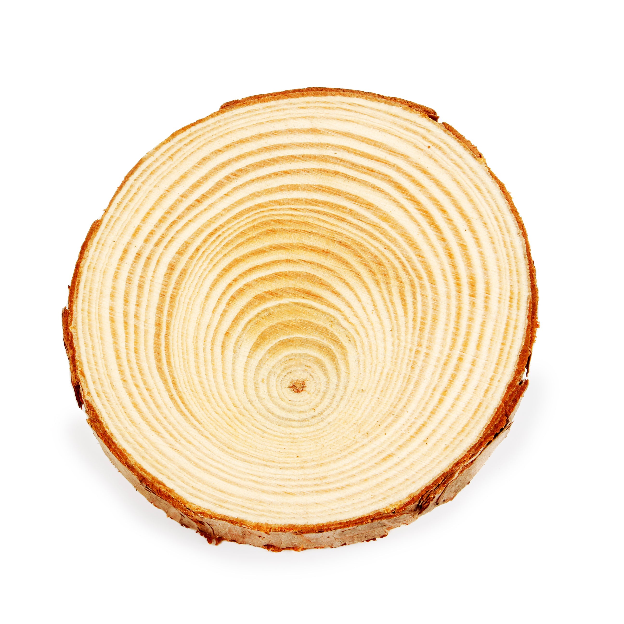 Wooden Slice 8 x 1cm 1Pc