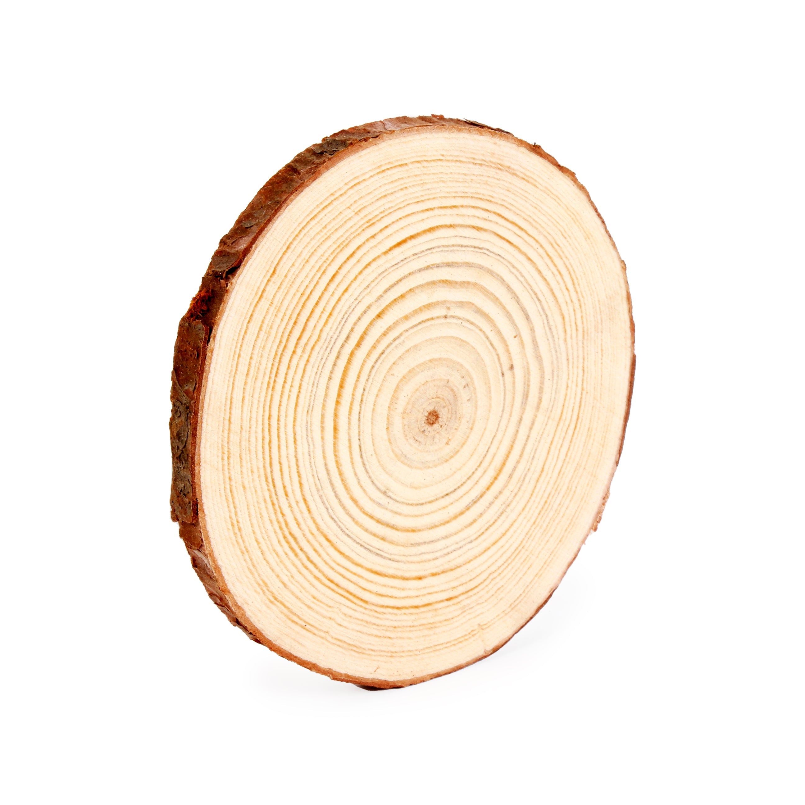 Wooden Slice 12 x 1cm 1Pc