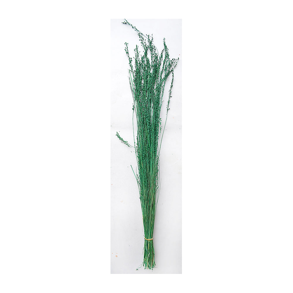 Itsy Bitsy Dried Grass Green - 20gm