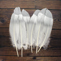 Glitter Feathers Silver 6 Pcs Ib