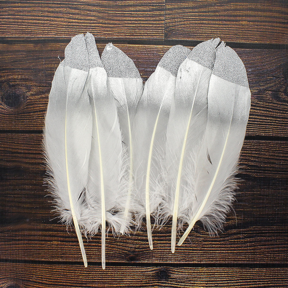 Glitter Feathers Silver 6 Pcs Ib