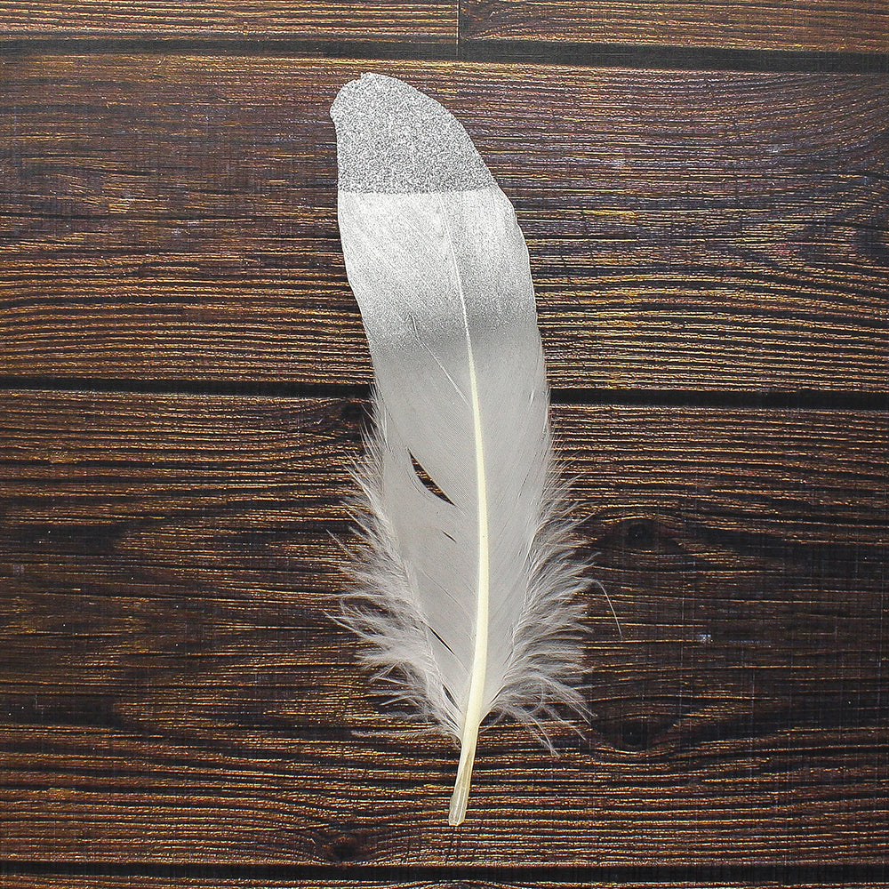 Glitter Feathers Silver 6 Pcs Ib