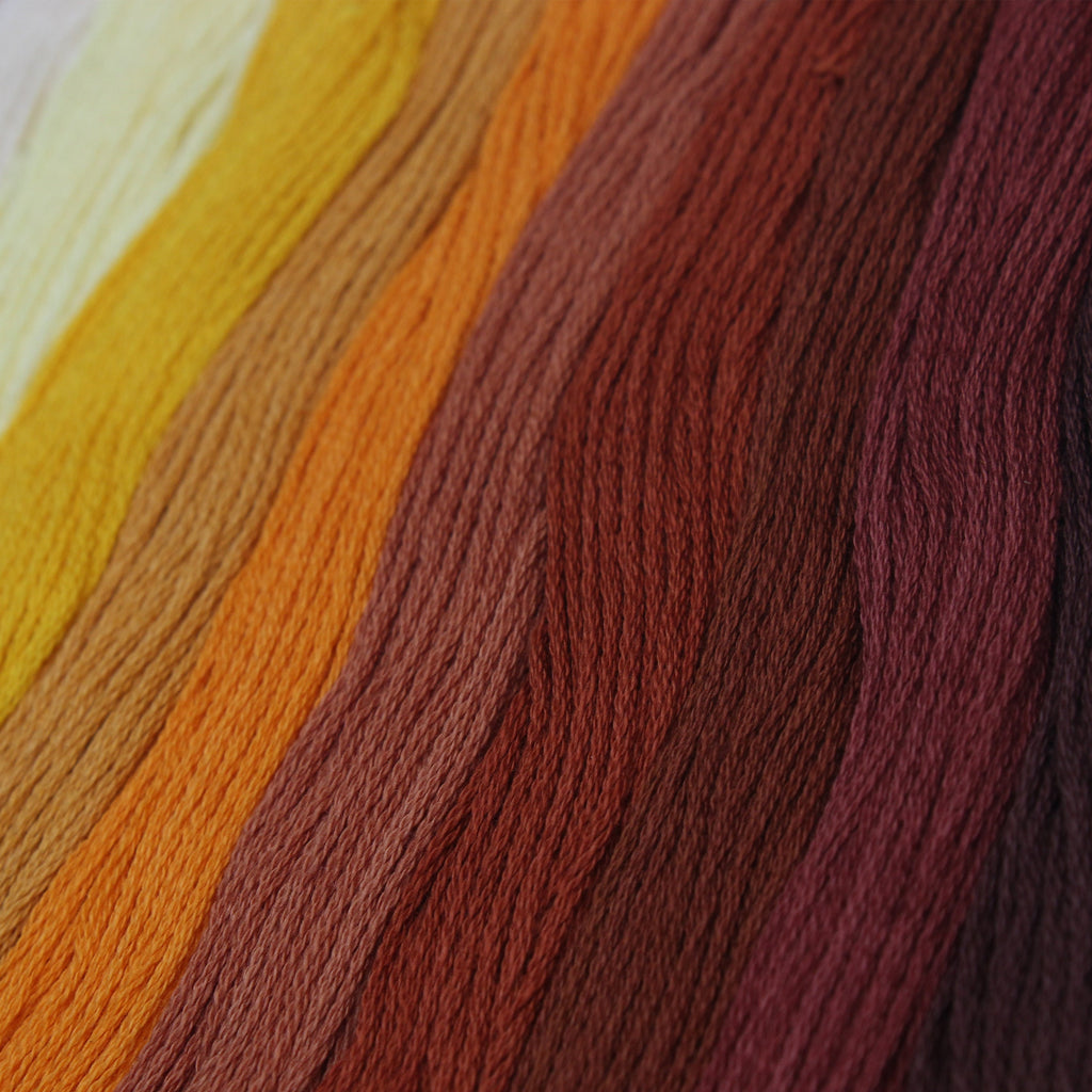 Yarn Skeins Berry Melon 12 Colors 1Pk Pb