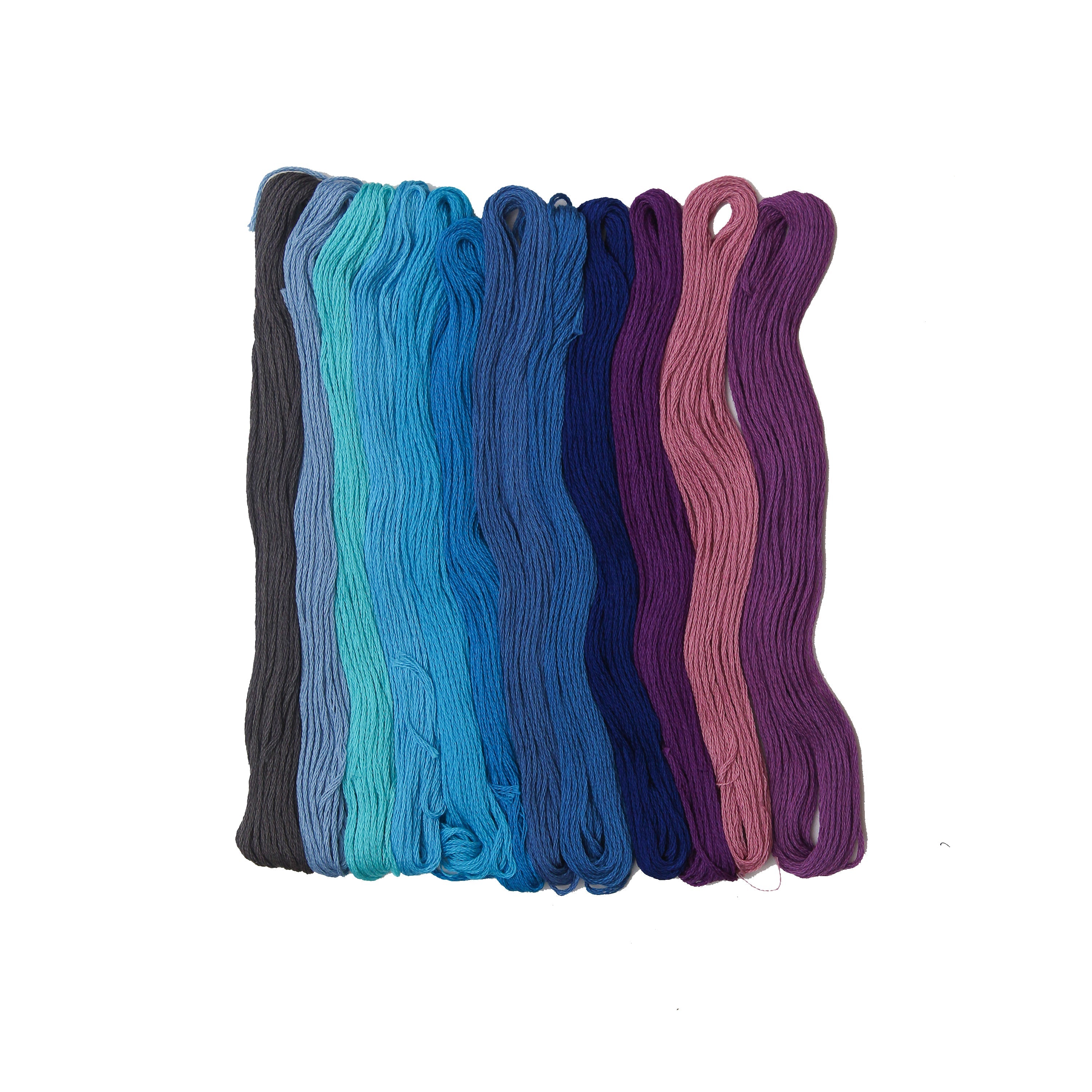 Yarn Skeins Berry Blend 12 Colors 1Pk Pb
