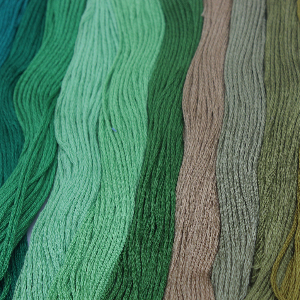 Yarn Skeins Forest Trails 12 Colors 1Pk Pb