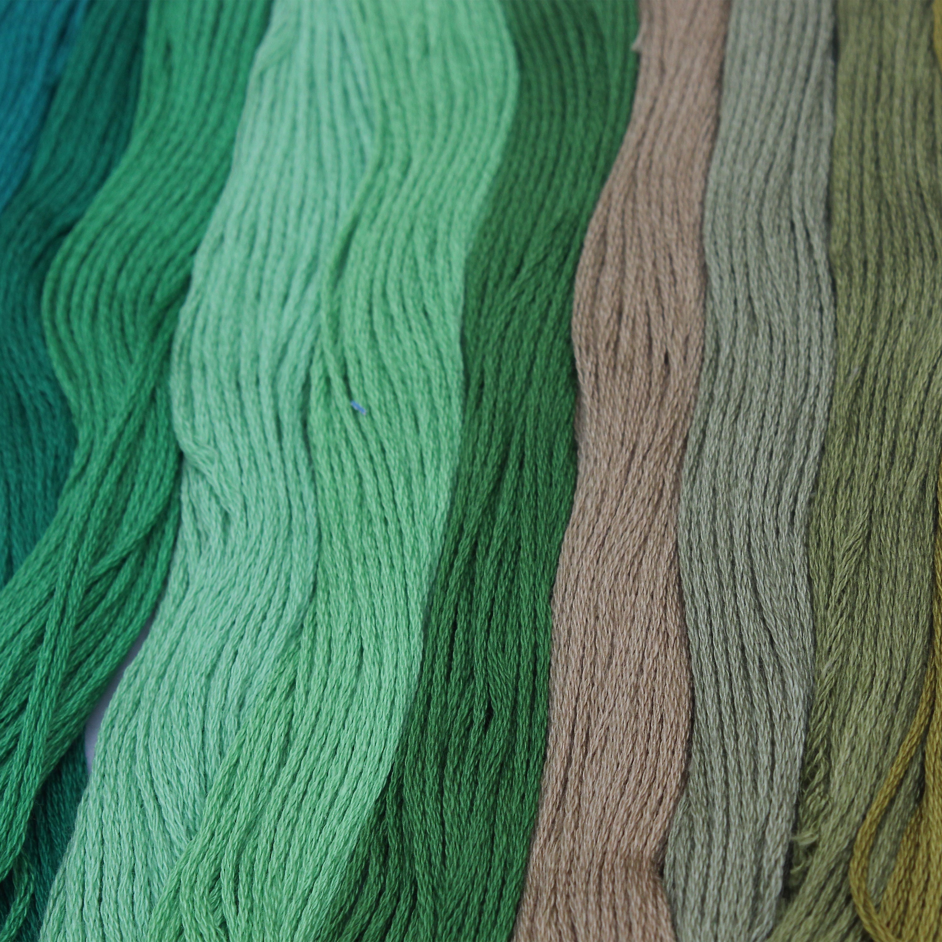 Yarn Skeins Forest Trails 12 Colors 1Pk Pb