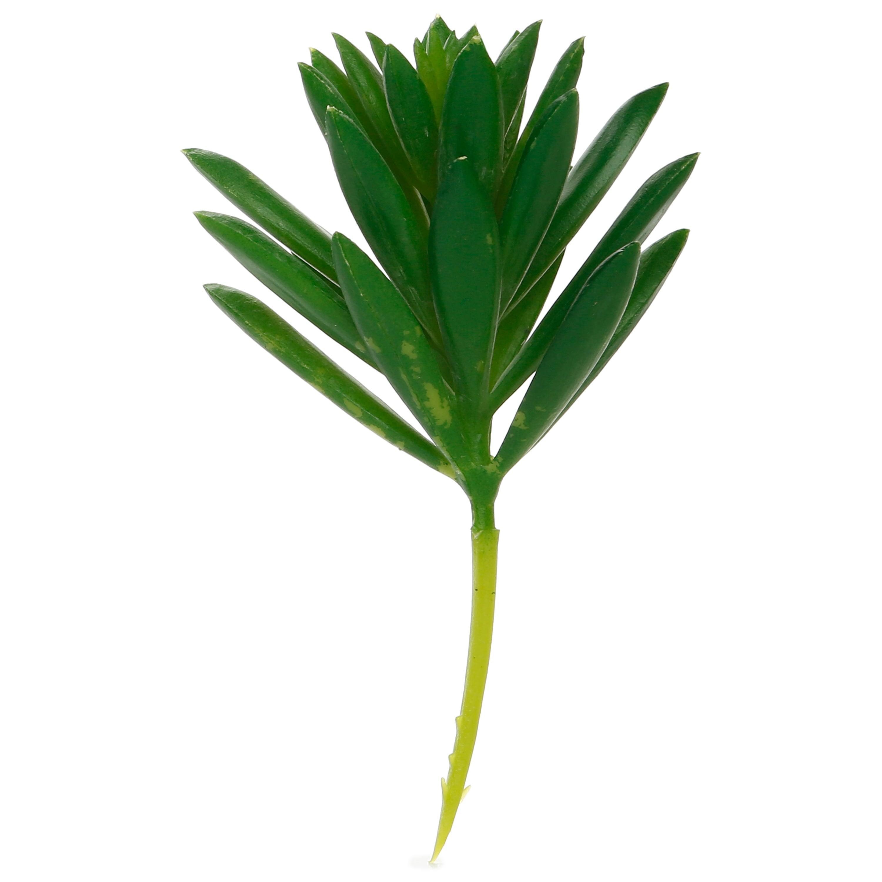Artificial Succulent Aloe 9.5Cm 1Pc Ib