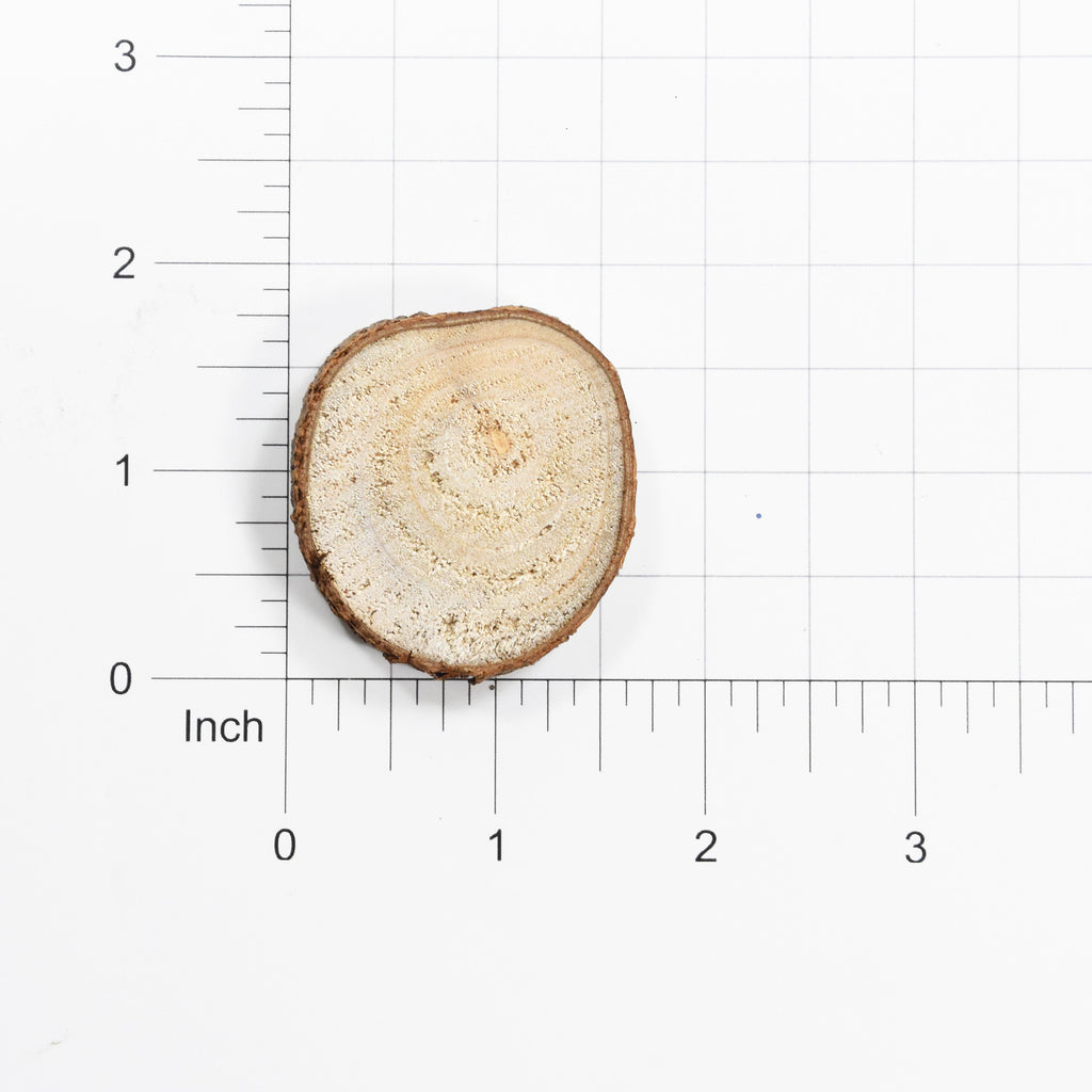 Wooden Slice - 1.5  Approx, 5Pc