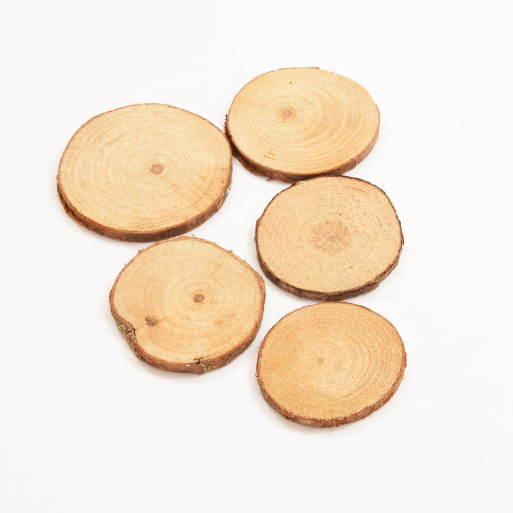 Wooden Slice Assorted Sizes  - 5Pc